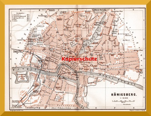 Königsberg 134 jahre alter - jahre,