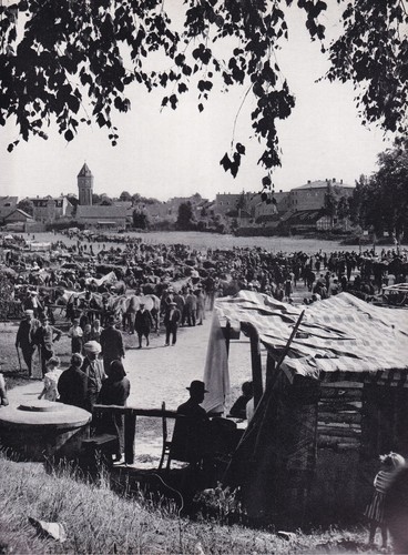 Wehlau snamensk der - wehlau/, snamensk-